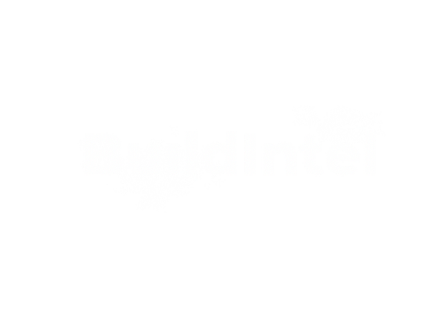 BuildIntel Logo